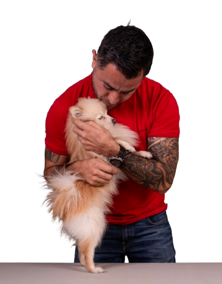 Fundación Todo por Patitas